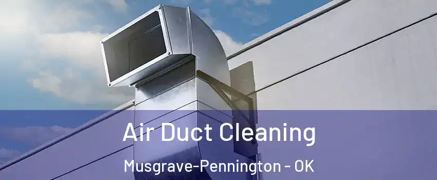 Air Duct Cleaning Musgrave-Pennington - OK
