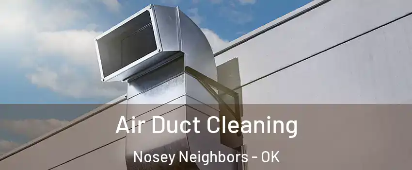 Air Duct Cleaning Nosey Neighbors - OK