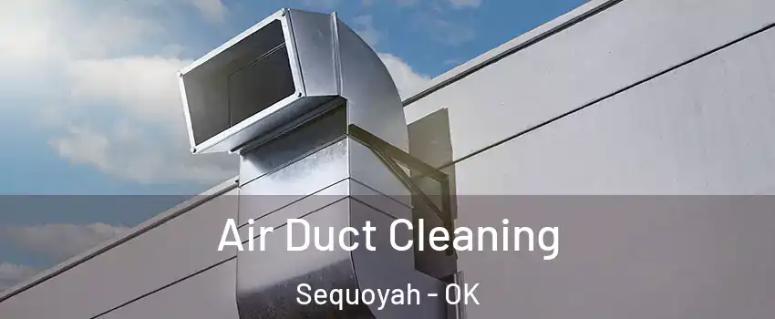 Air Duct Cleaning Sequoyah - OK