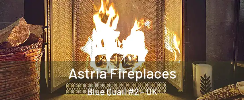 Astria Fireplaces Blue Quail #2 - OK
