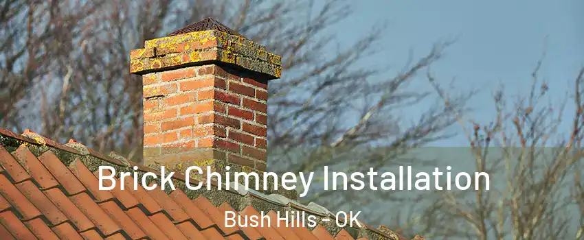 Brick Chimney Installation Bush Hills - OK