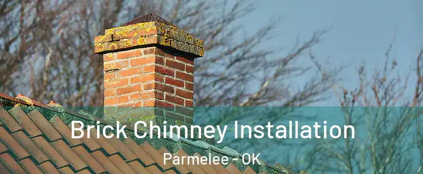 Brick Chimney Installation Parmelee - OK