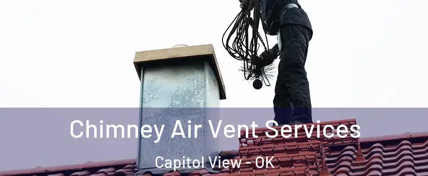 Chimney Air Vent Services Capitol View - OK