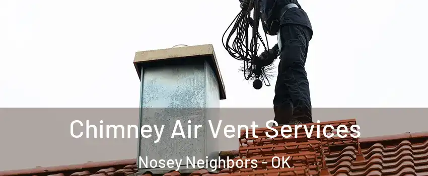 Chimney Air Vent Services Nosey Neighbors - OK