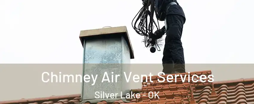 Chimney Air Vent Services Silver Lake - OK