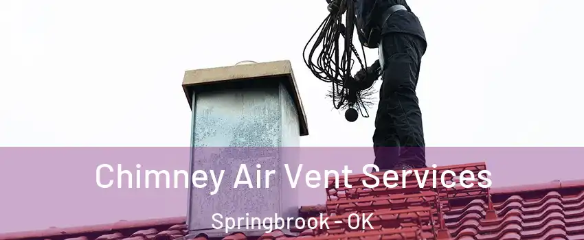 Chimney Air Vent Services Springbrook - OK