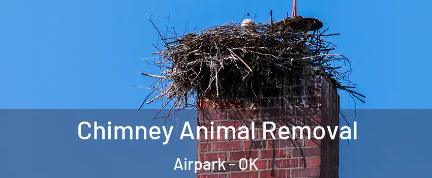 Chimney Animal Removal Airpark - OK