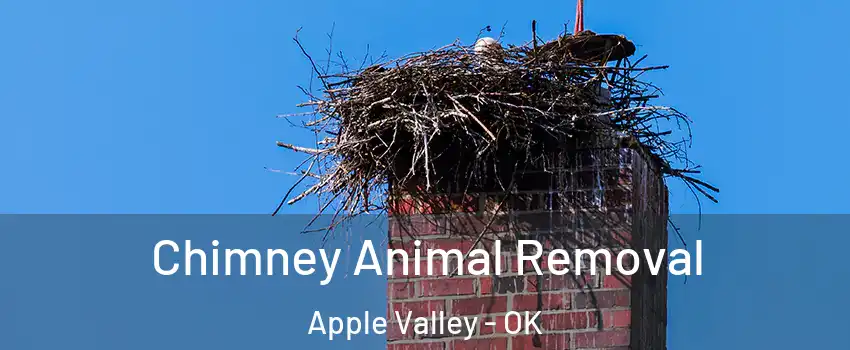 Chimney Animal Removal Apple Valley - OK