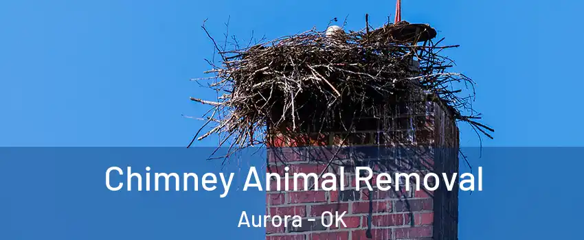 Chimney Animal Removal Aurora - OK