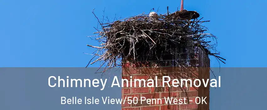 Chimney Animal Removal Belle Isle View/50 Penn West - OK