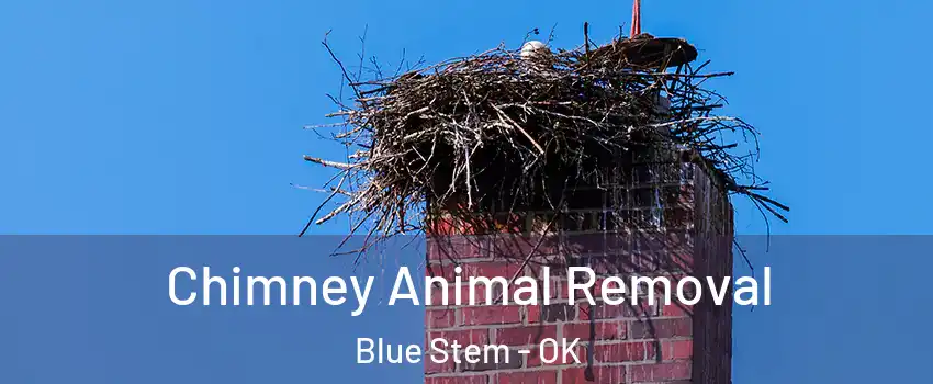 Chimney Animal Removal Blue Stem - OK