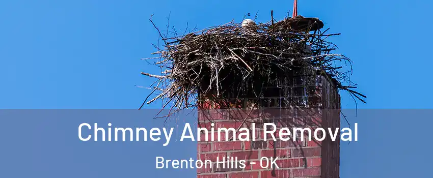 Chimney Animal Removal Brenton Hills - OK