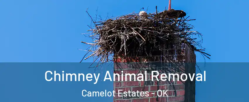 Chimney Animal Removal Camelot Estates - OK