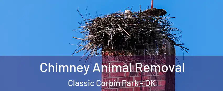 Chimney Animal Removal Classic Corbin Park - OK