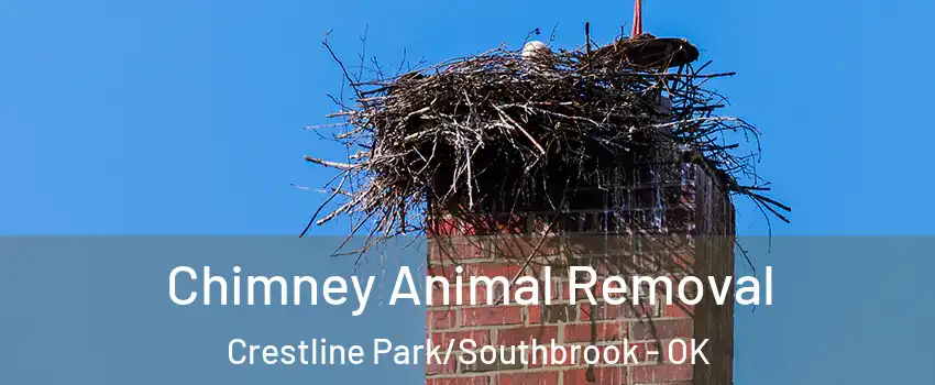 Chimney Animal Removal Crestline Park/Southbrook - OK