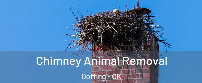 Chimney Animal Removal Doffing - OK
