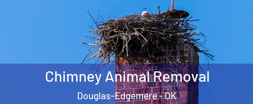Chimney Animal Removal Douglas-Edgemere - OK