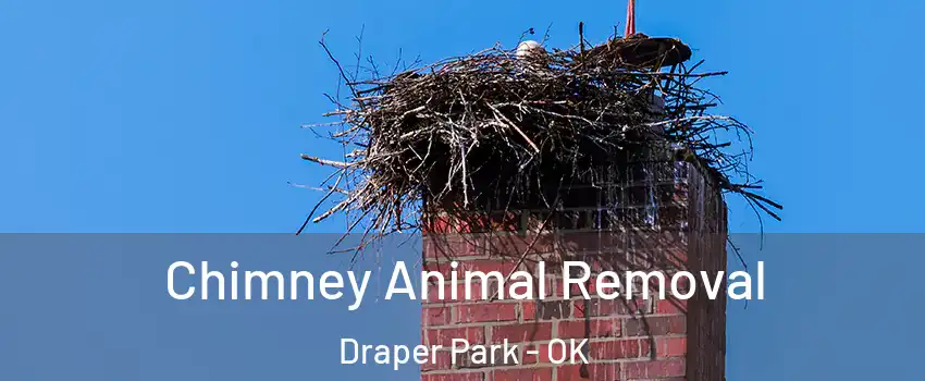 Chimney Animal Removal Draper Park - OK