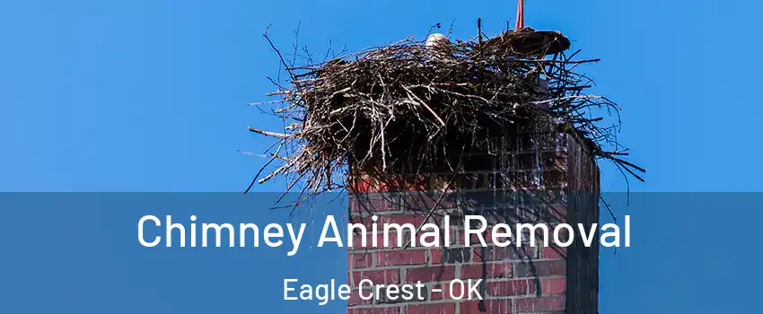 Chimney Animal Removal Eagle Crest - OK