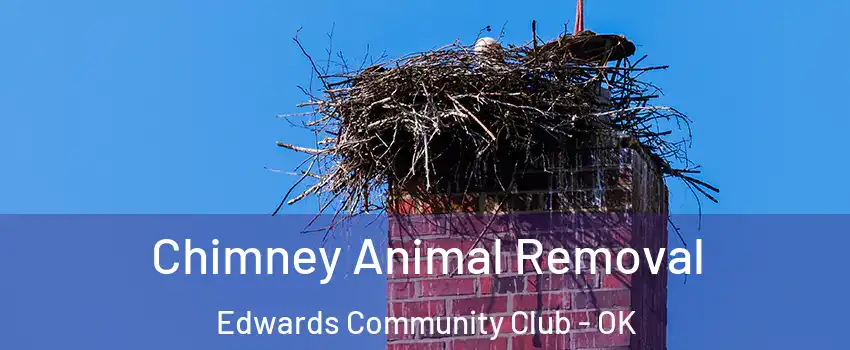 Chimney Animal Removal Edwards Community Club - OK