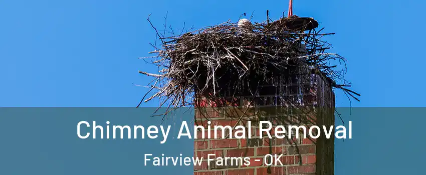Chimney Animal Removal Fairview Farms - OK