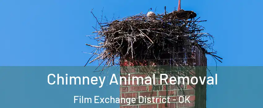 Chimney Animal Removal Film Exchange District - OK
