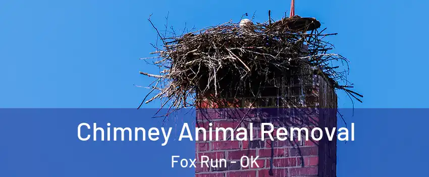 Chimney Animal Removal Fox Run - OK