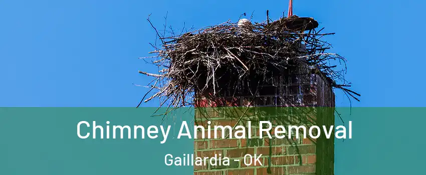 Chimney Animal Removal Gaillardia - OK