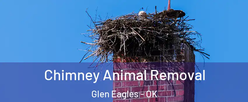 Chimney Animal Removal Glen Eagles - OK