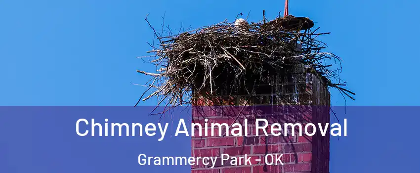 Chimney Animal Removal Grammercy Park - OK