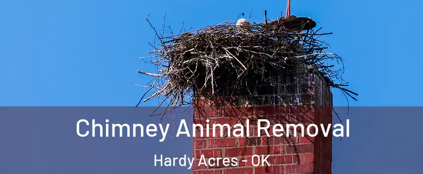 Chimney Animal Removal Hardy Acres - OK