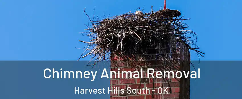 Chimney Animal Removal Harvest Hills South - OK