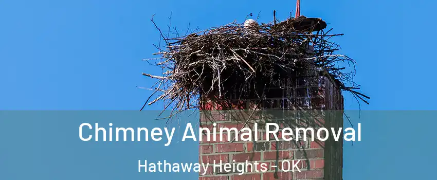 Chimney Animal Removal Hathaway Heights - OK