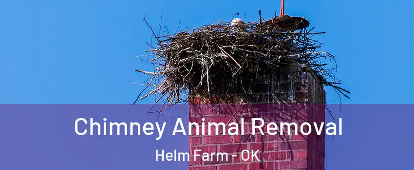 Chimney Animal Removal Helm Farm - OK