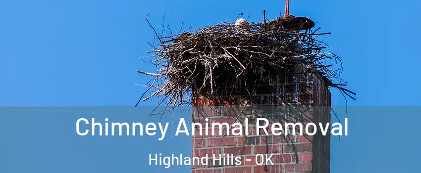 Chimney Animal Removal Highland Hills - OK