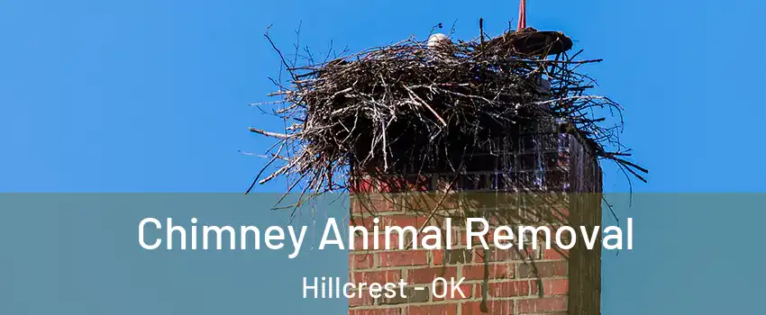 Chimney Animal Removal Hillcrest - OK