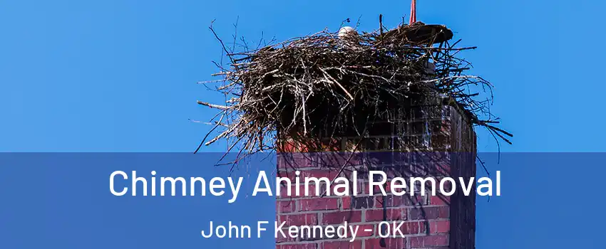 Chimney Animal Removal John F Kennedy - OK