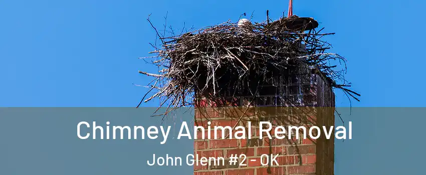Chimney Animal Removal John Glenn #2 - OK
