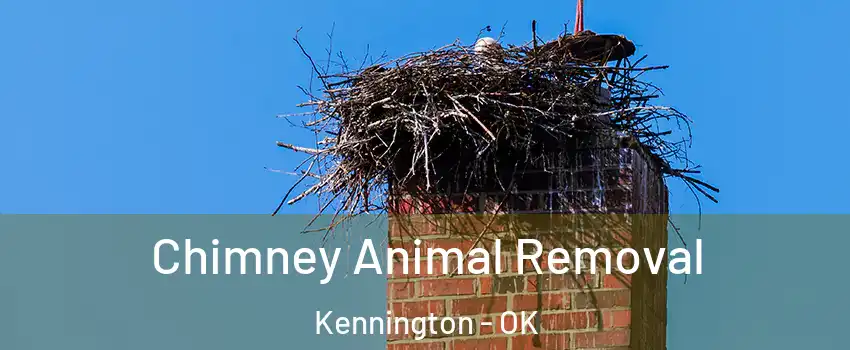 Chimney Animal Removal Kennington - OK