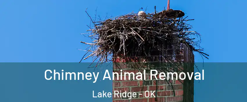 Chimney Animal Removal Lake Ridge - OK