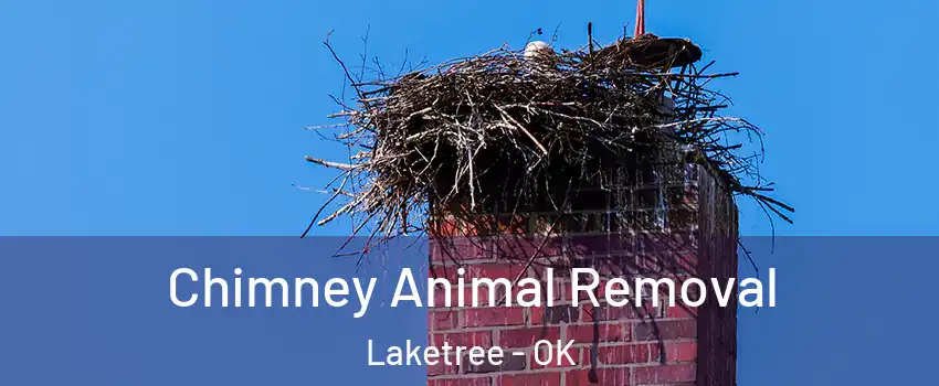 Chimney Animal Removal Laketree - OK