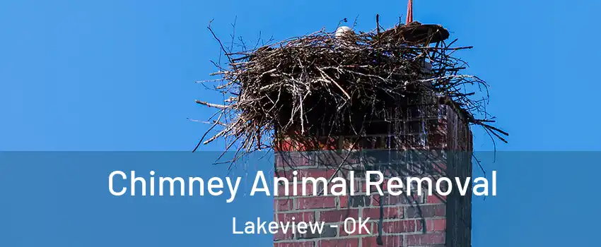 Chimney Animal Removal Lakeview - OK