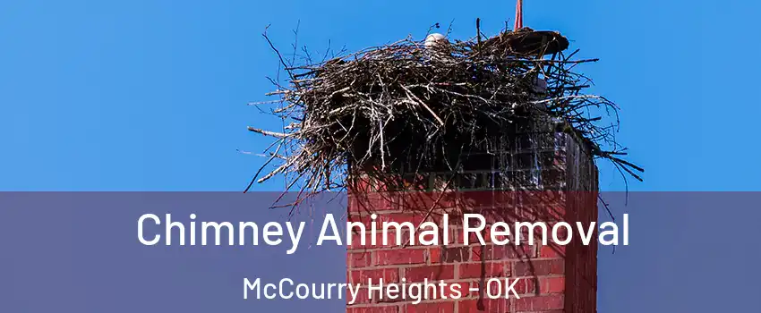 Chimney Animal Removal McCourry Heights - OK