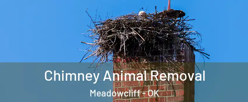 Chimney Animal Removal Meadowcliff - OK