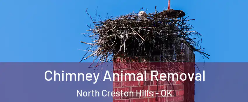 Chimney Animal Removal North Creston Hills - OK