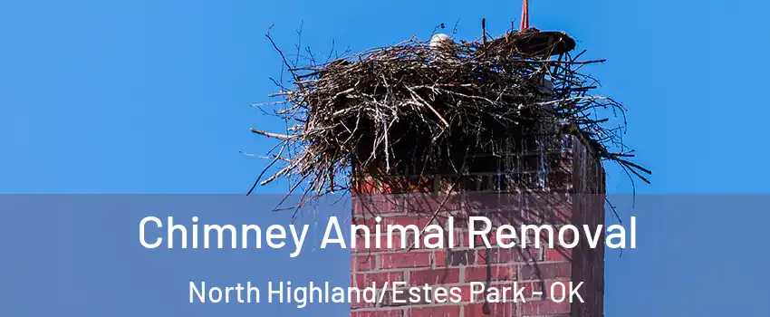 Chimney Animal Removal North Highland/Estes Park - OK