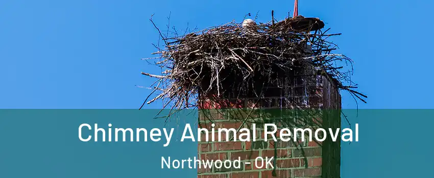 Chimney Animal Removal Northwood - OK