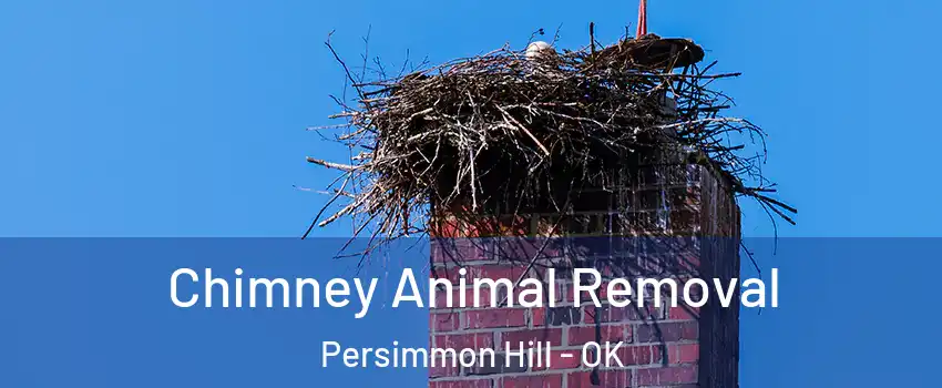 Chimney Animal Removal Persimmon Hill - OK