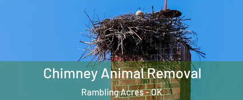 Chimney Animal Removal Rambling Acres - OK