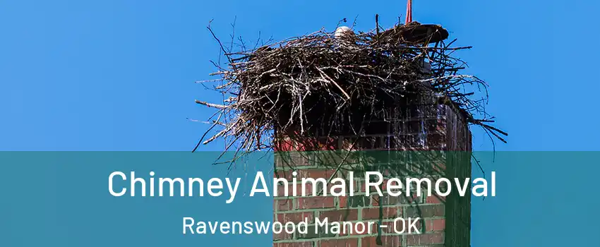 Chimney Animal Removal Ravenswood Manor - OK